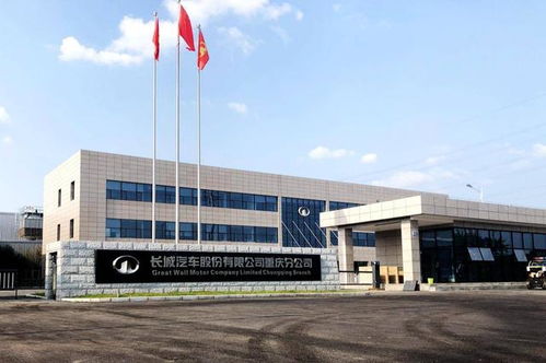 皮卡進城 下一個十年的城市解藥？重慶解禁的市場啟示錄